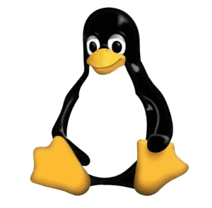 Fix My Linux Server